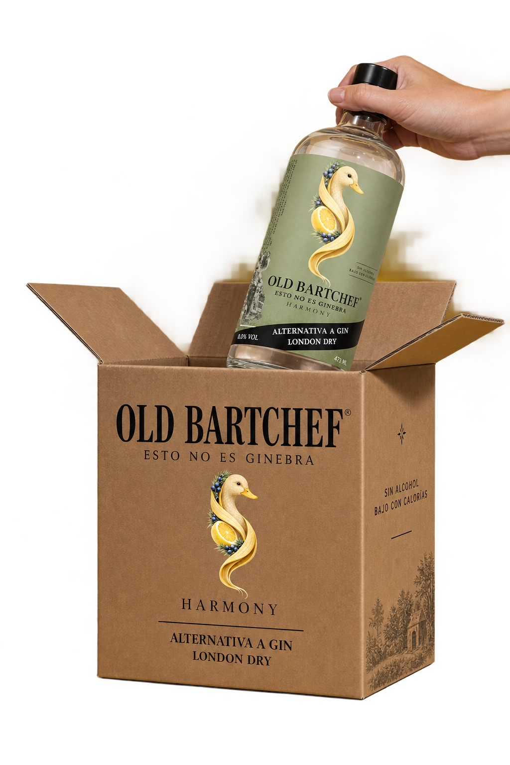 0.0% Box of 12 Bottles